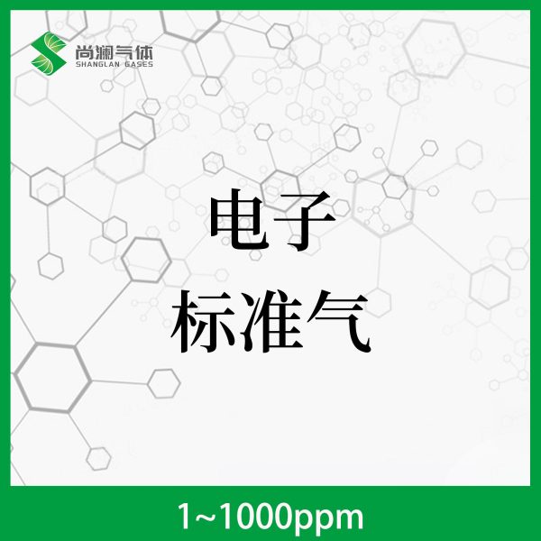 电子标准气